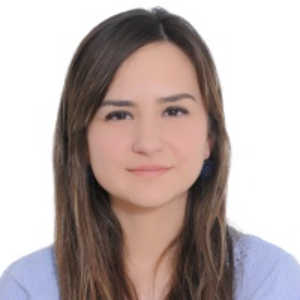 Speaker at Materials Science and Engineering 2022 - Diouri Chaimaa