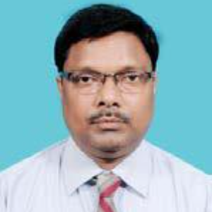 Speaker at Materials Science and Engineering 2023 - Dipak Kumar Maiti