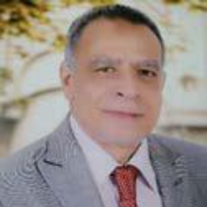 Speaker at Materials Science and Engineering 2023 - Samy Abdel hakim Abdel Hamid Elsayed